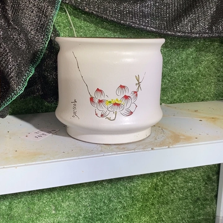 口25高25～～～～～～～～