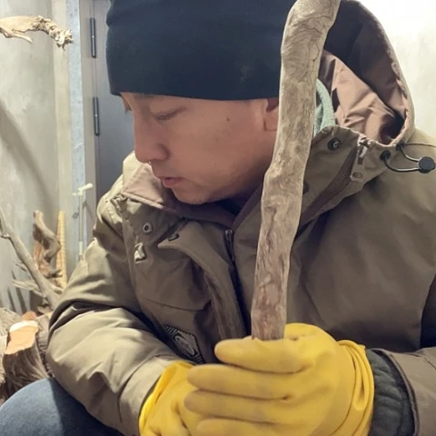 柏木旺**行崖柏毛料的