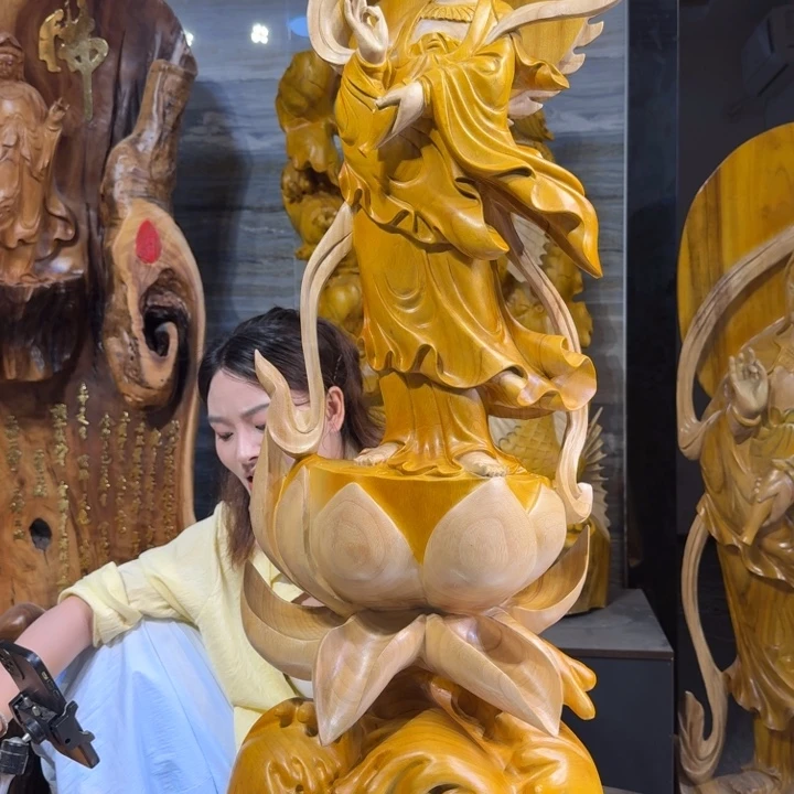 香樟木紫**林长35厘米高100