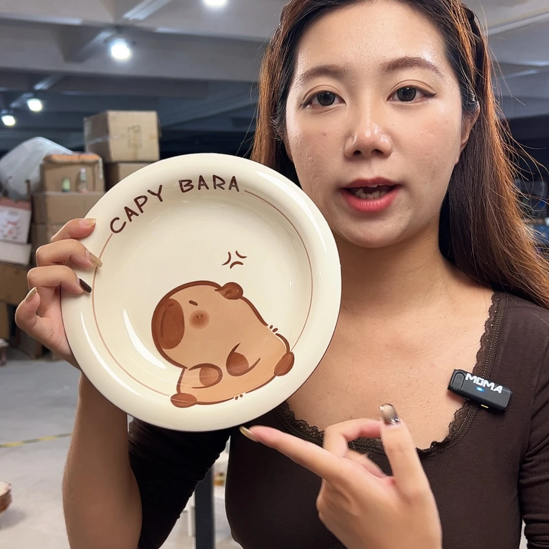 潮州微瑕陶瓷餐具8寸