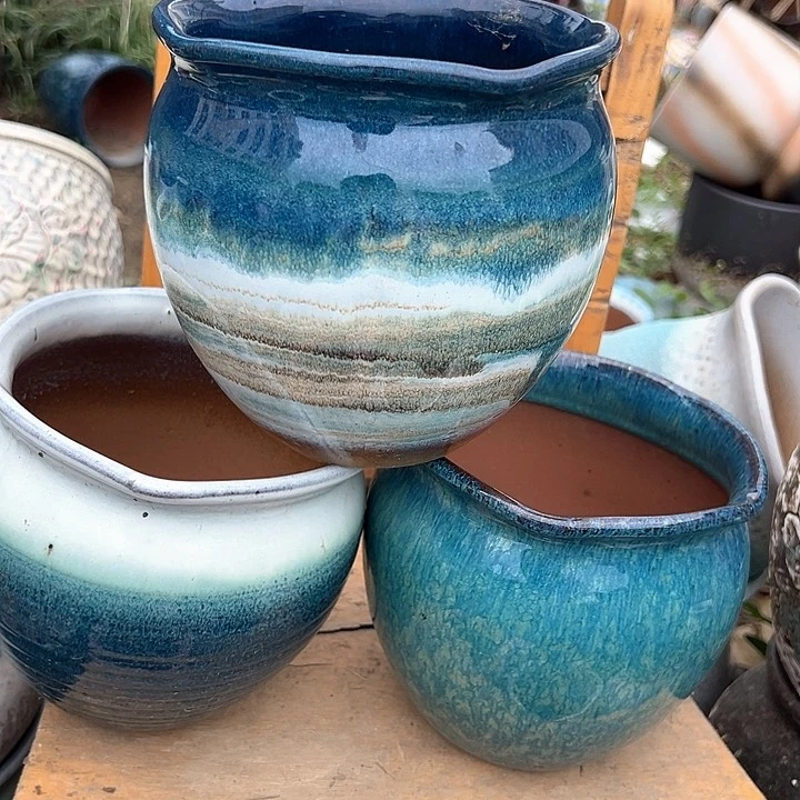 紫砂花盆口15高15福利价。。。。。。。。。。。。