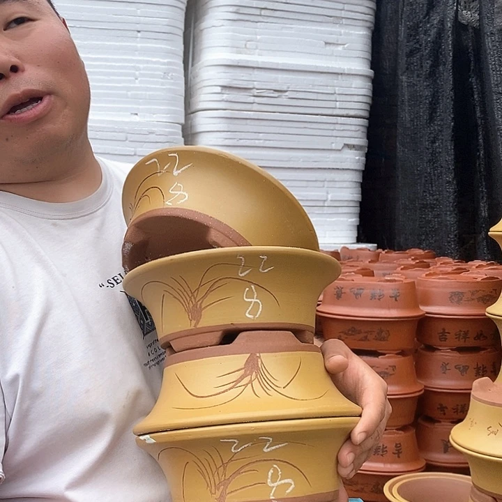 紫砂花盆盆栽植物观赏