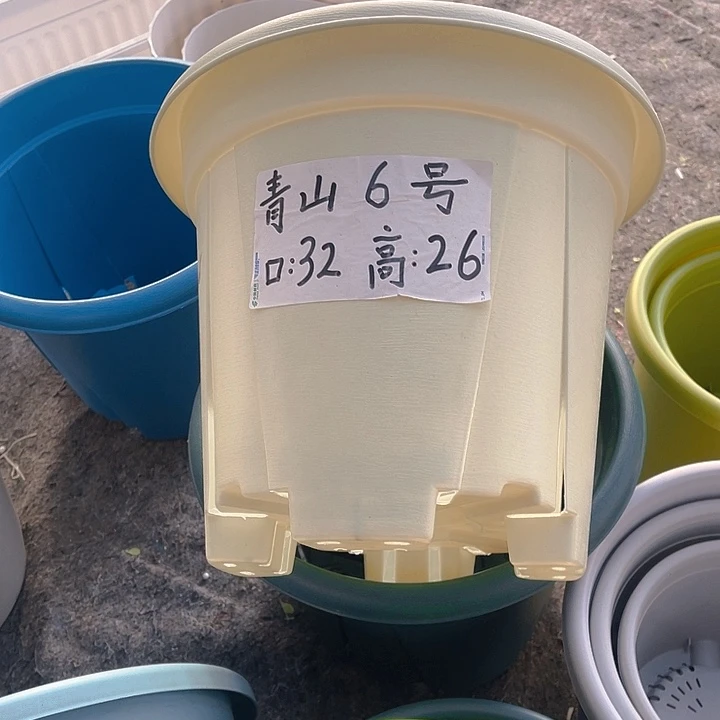 树脂青山6号32口径米色4个