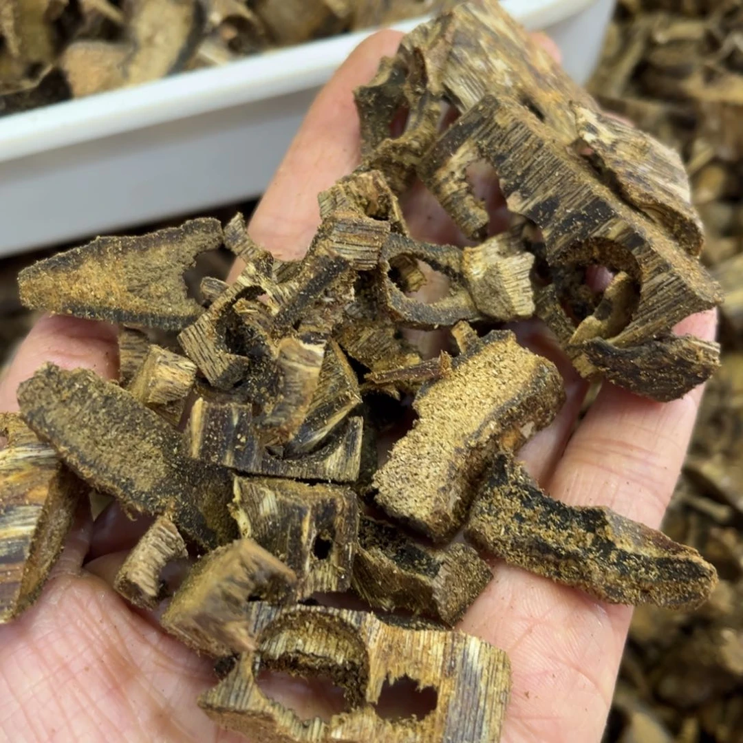 沉香枕沉香哆**梦沉香棋楠碎250