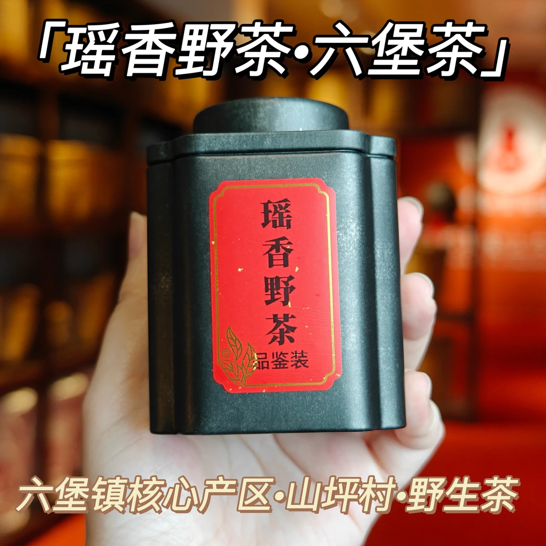 【瑶香野茶】2015六堡茶核心产区山坪村野生茶瑶香果香传统工艺