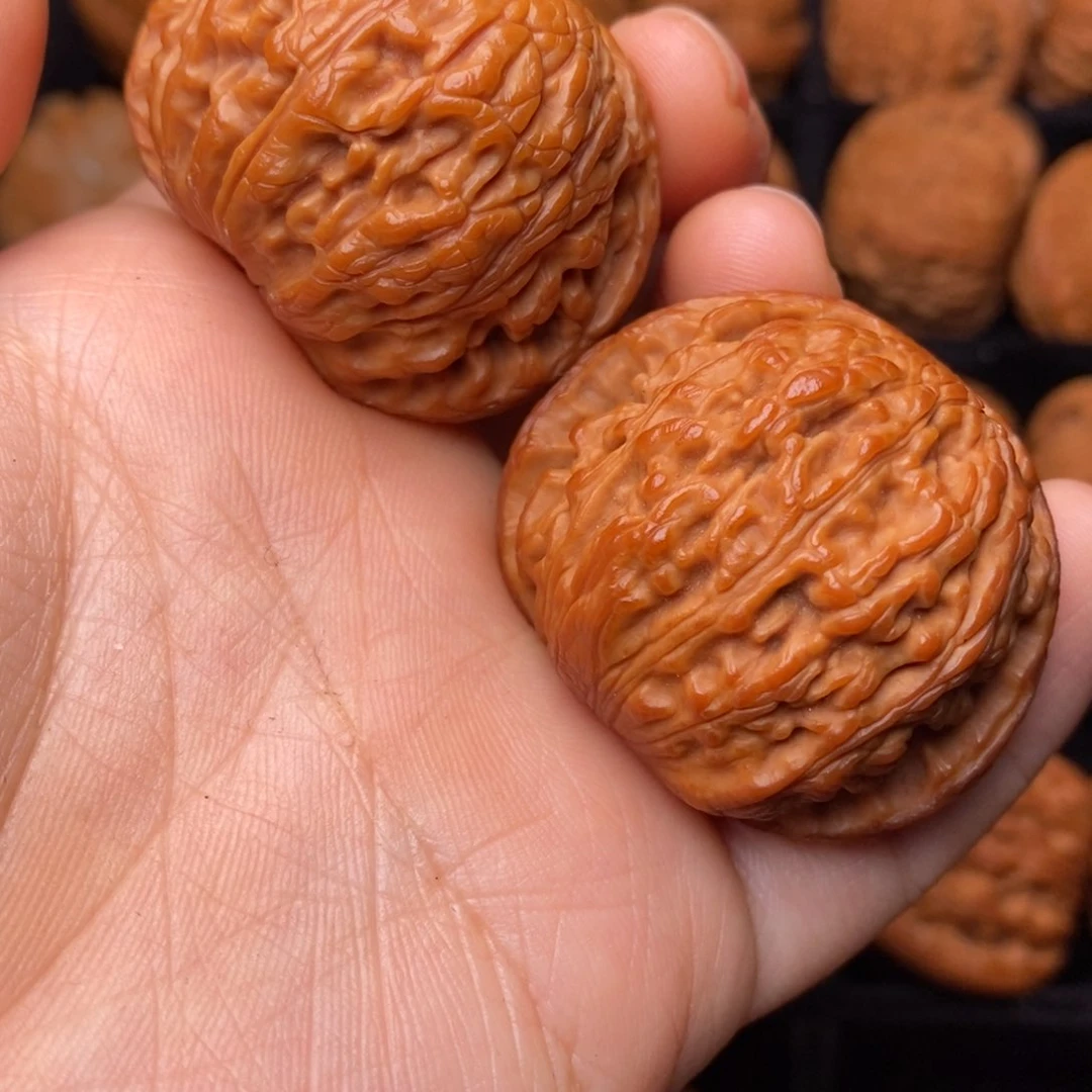 秦岭野生文玩核桃