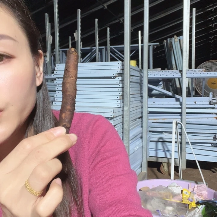 当前无花栽培后可以开花高货混根