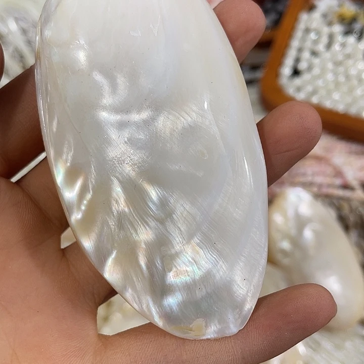 合金玛瑙/玉髓珠宝半成品一个珍珠蚌