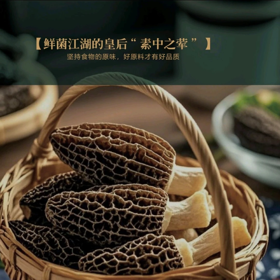 南山农场羊肚蘑菇