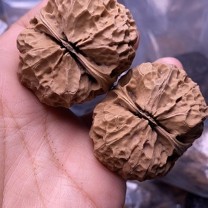 把件文玩核桃   240