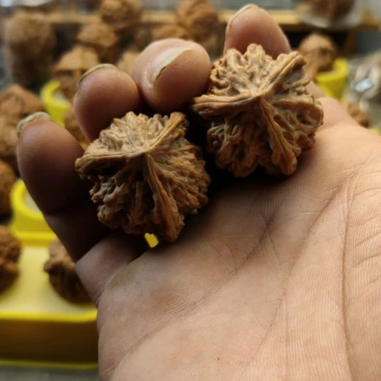 木质类盘山三棱核桃，