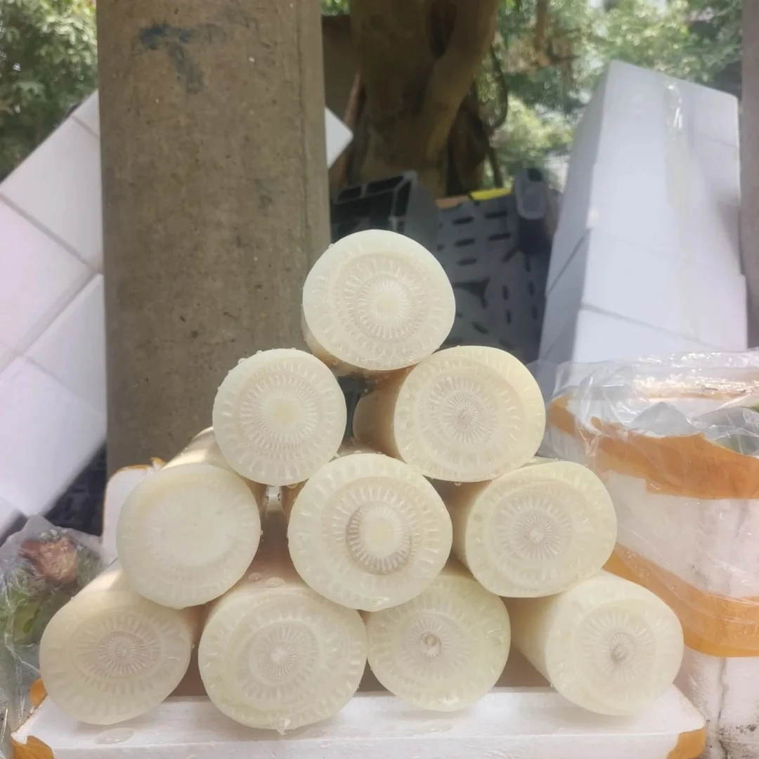 现摘现发天然野生芭蕉芯芭蕉杆香蕉批发杆芭蕉心嫩心炒菜食用新鲜