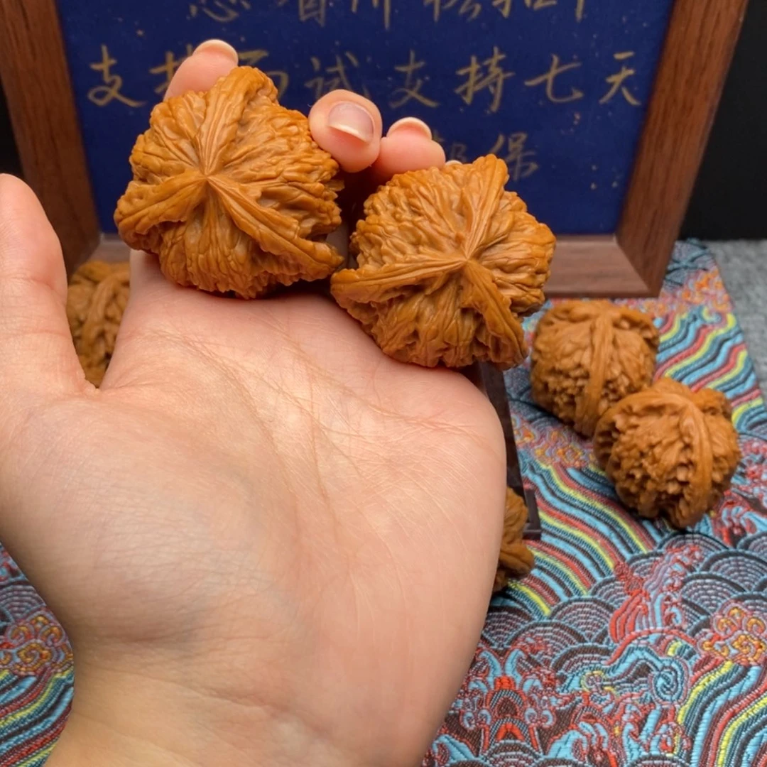 【闪购商品】世****号