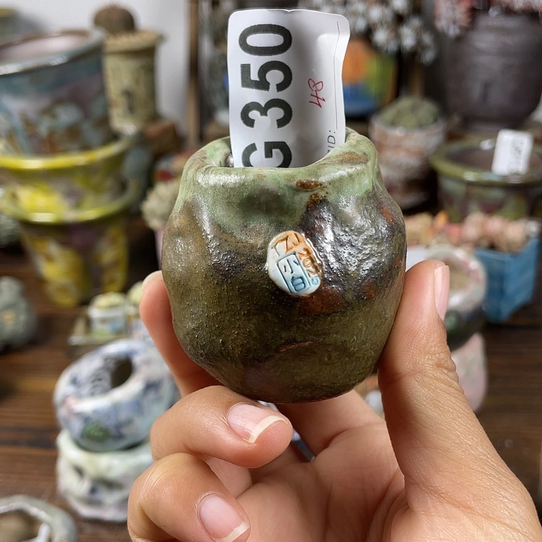 坛子姐花盆 小白孤品 内口3