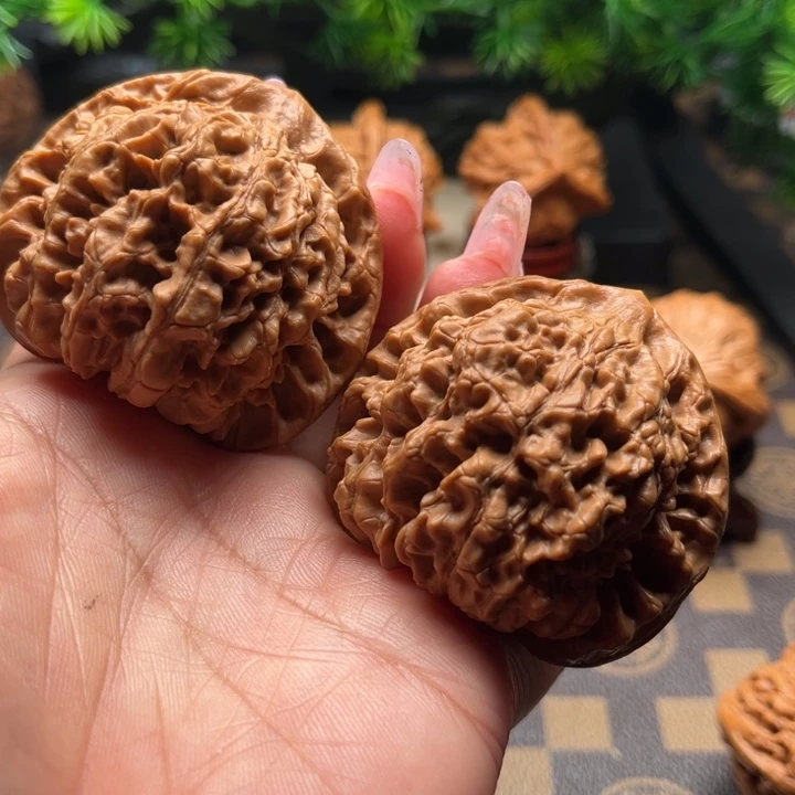 核桃52大官帽文玩