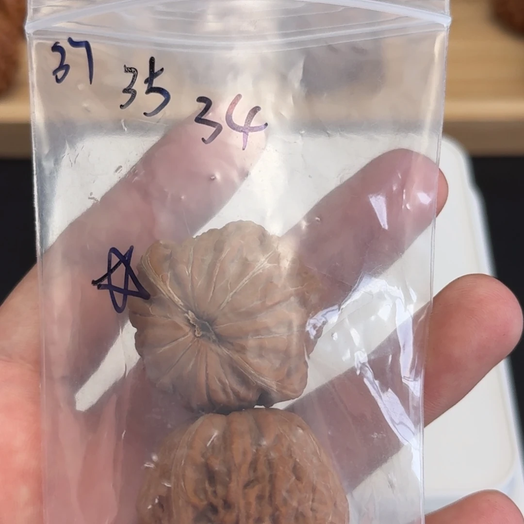 此***销吊坠文玩核桃37毕业
