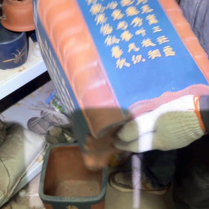 紫砂花盆嘻唰唰的