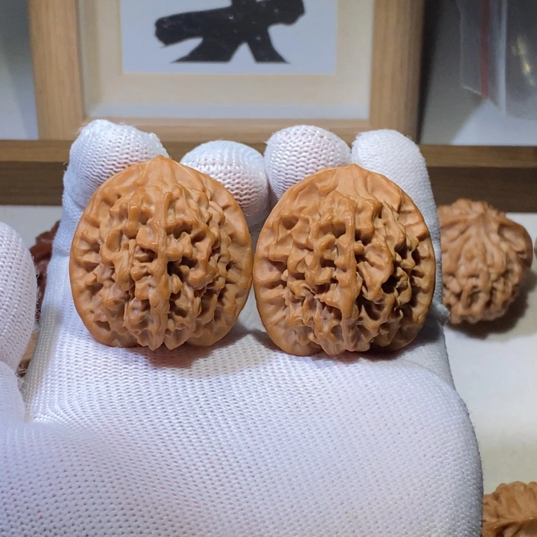 秦闷狮子头36尺寸