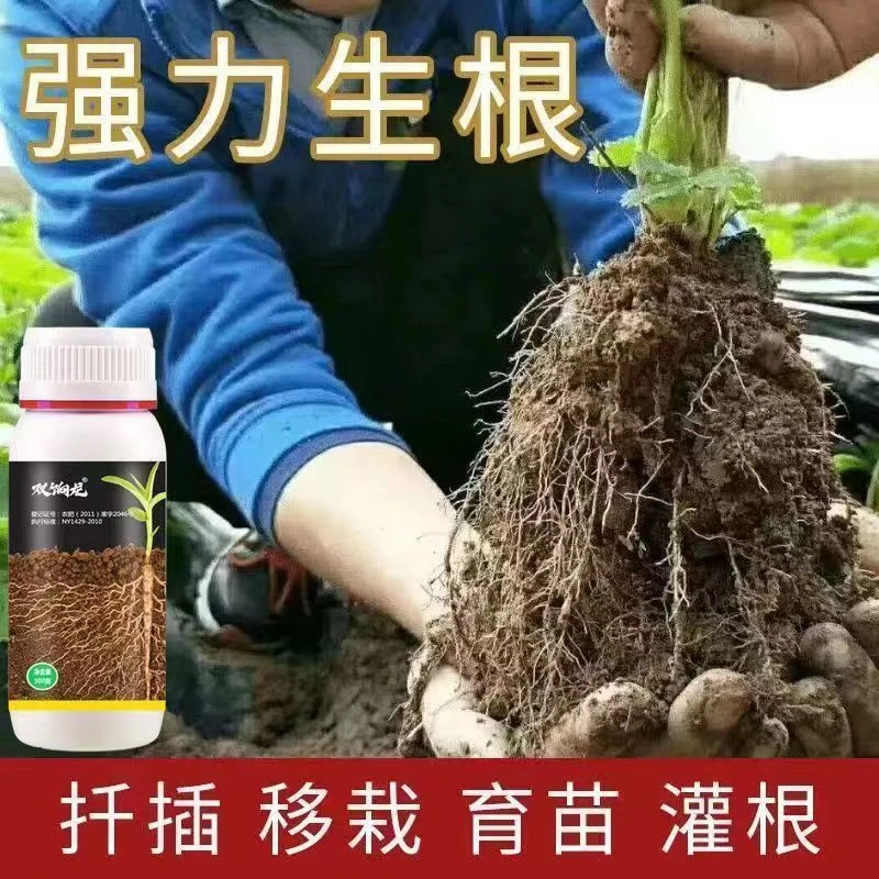 进口生根壮苗速效移植苗木扦插月季果树速效生根助生长水溶肥