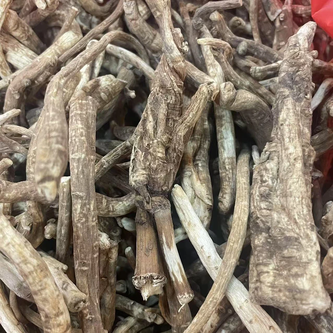 当归靓货大自然生长