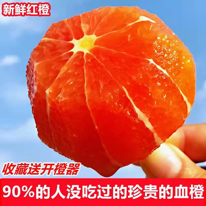 橙中贵族秭归中华红血橙卡拉红橙脐橙橙子孕妇水果时令水果橙子