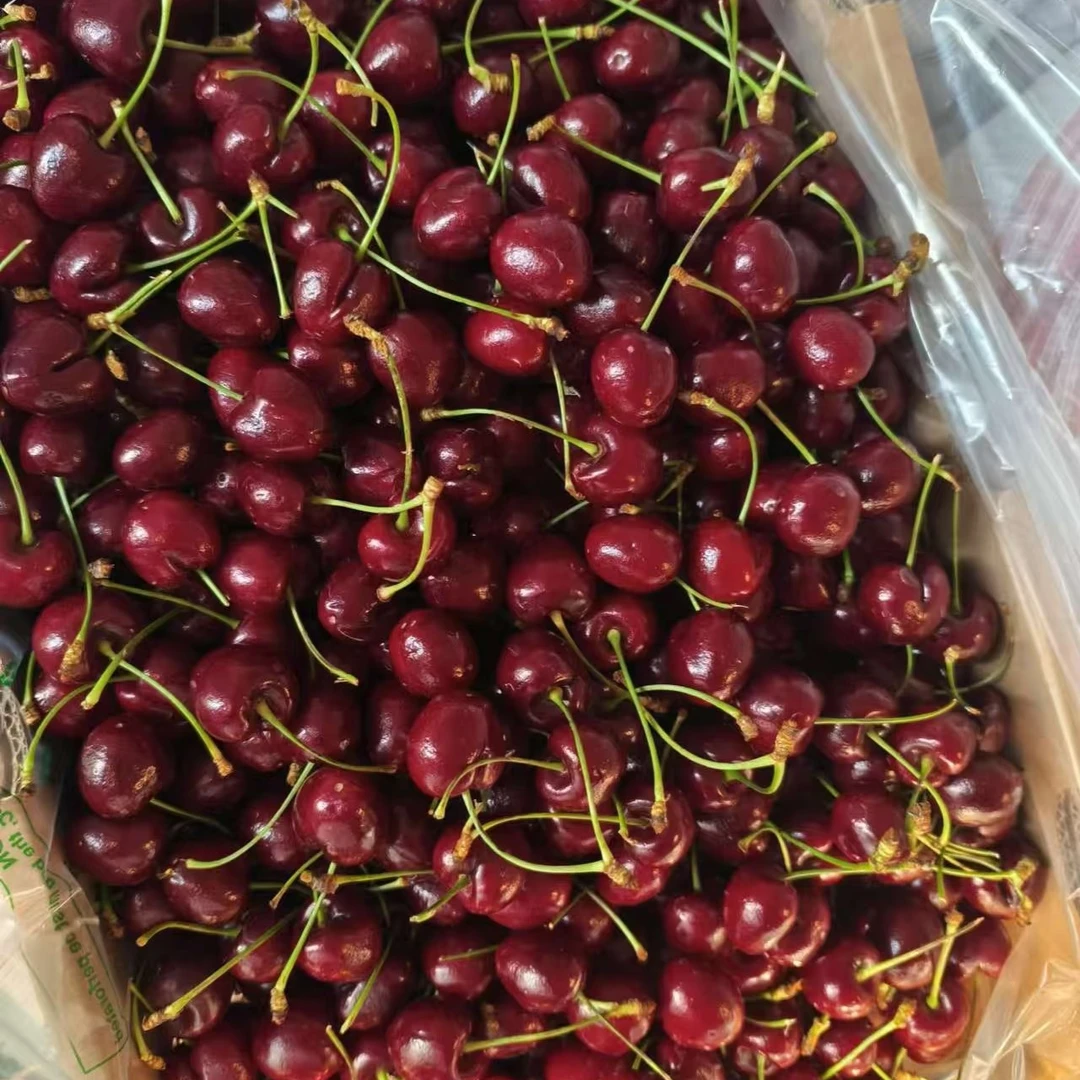 车厘子XL一箱净果10斤海运智利智利
