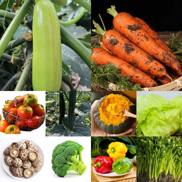 《罐哥甄选》蔬菜组合大礼包20-25斤