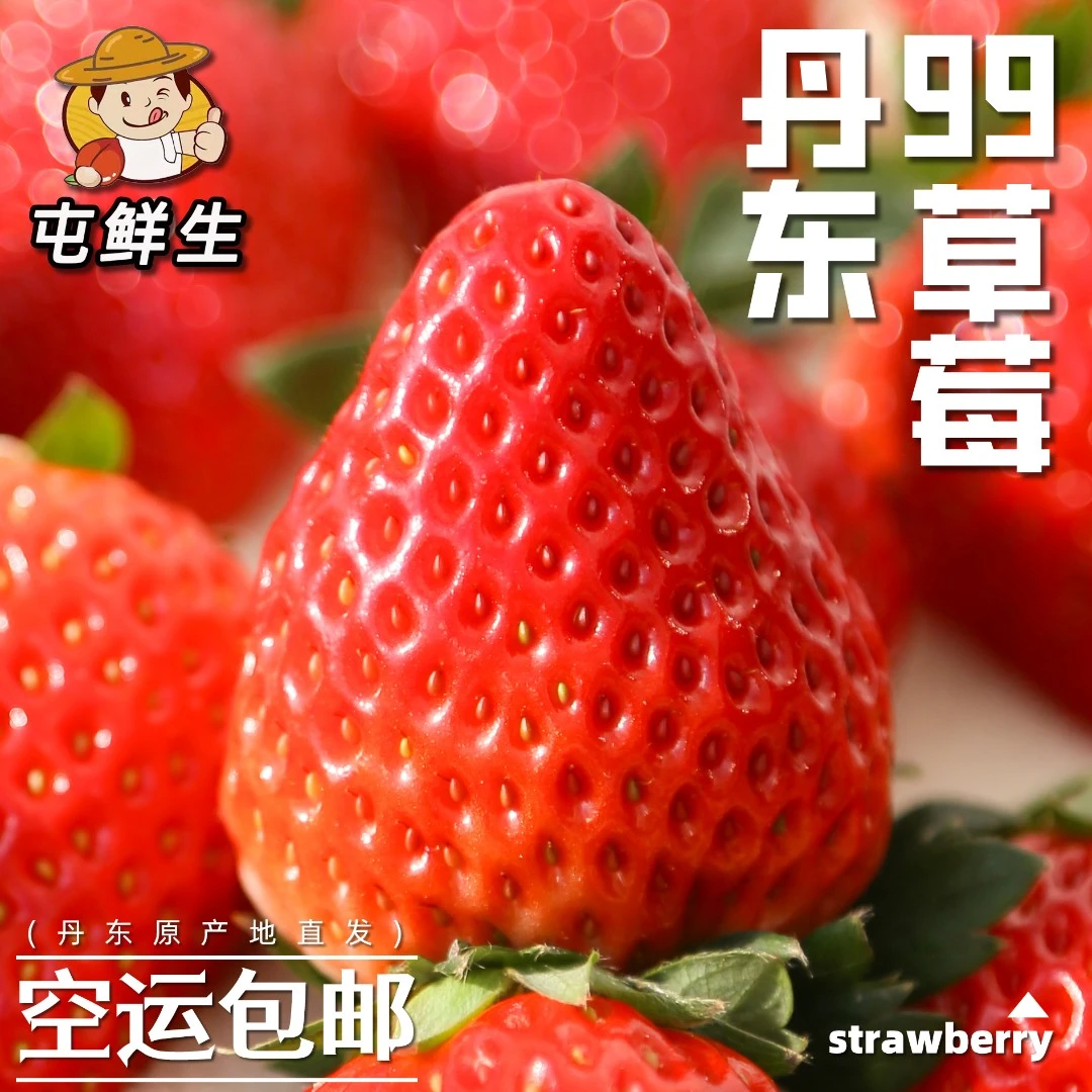 屯鲜生 | 丹东红颜99草莓牛奶99大草莓1-2.5斤空运包邮J