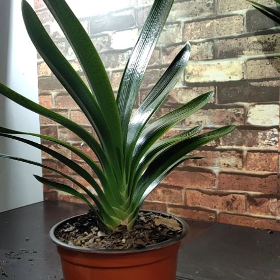 完全开放11111111