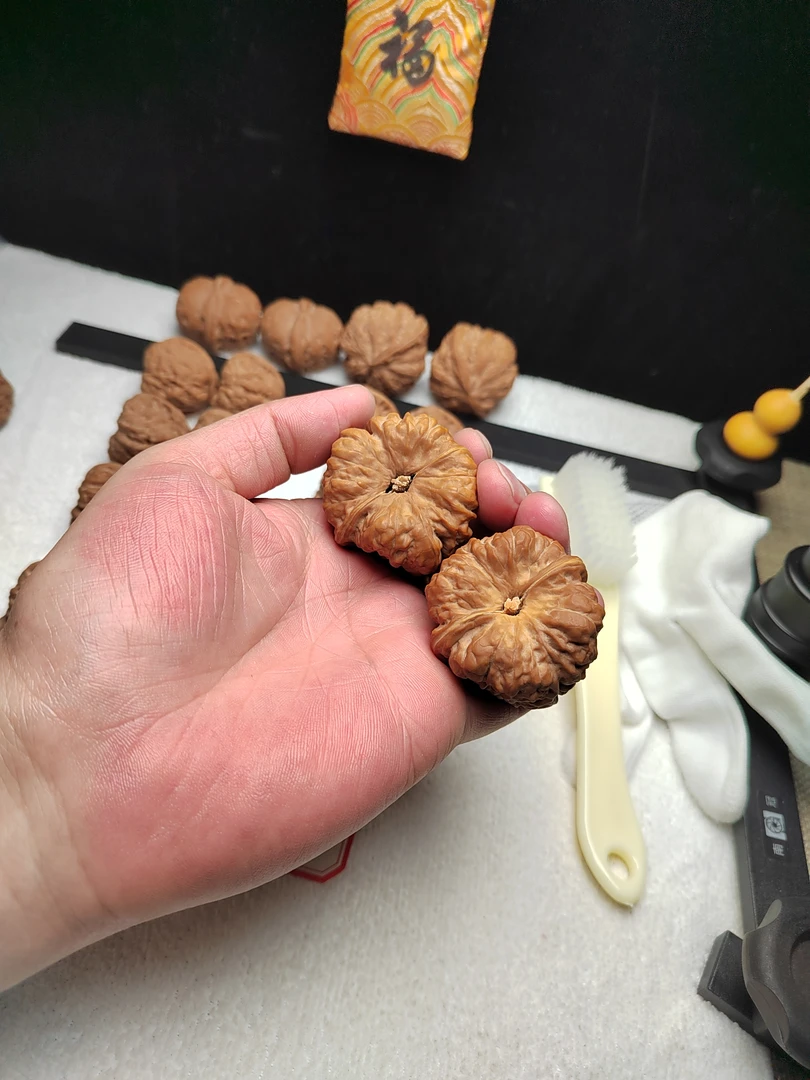 金蟾蛤蟆头文玩核桃