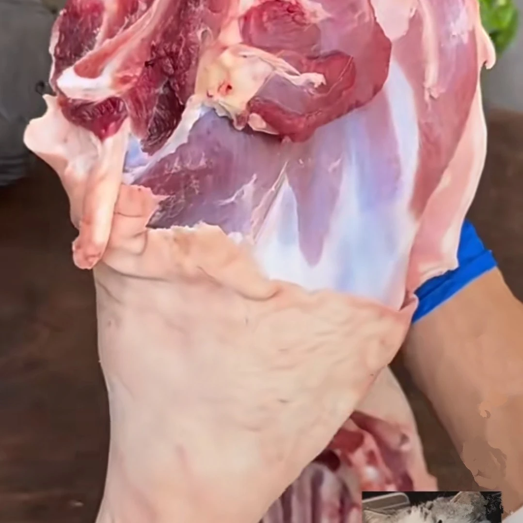 广西白山羊后腿5斤包邮
