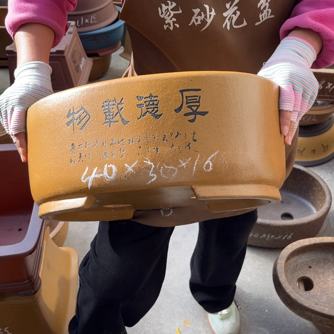 紫砂花盆盆景艺术