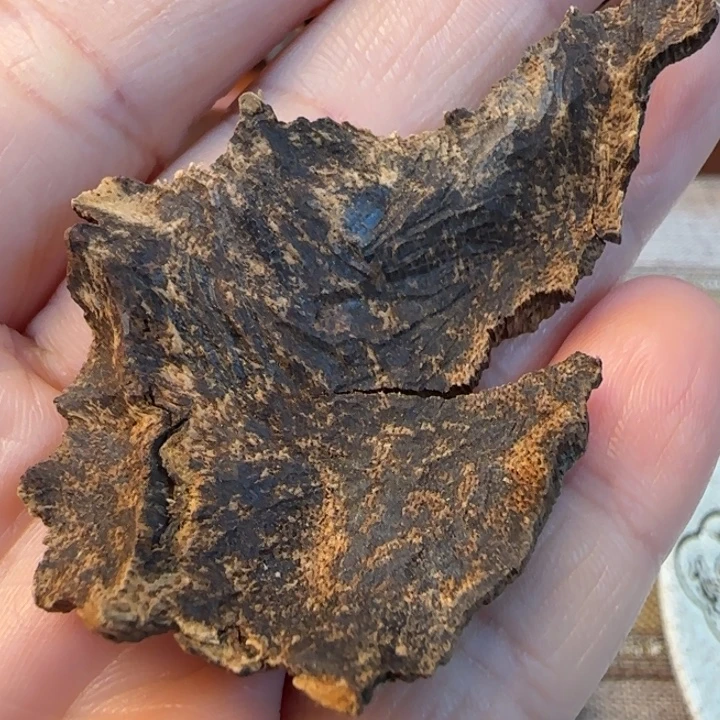 摆件沉香海南沉水包头尖峰岭3克