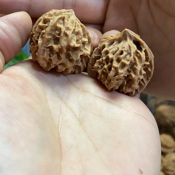 【闪购商品】核桃把件歧山异形迷你32