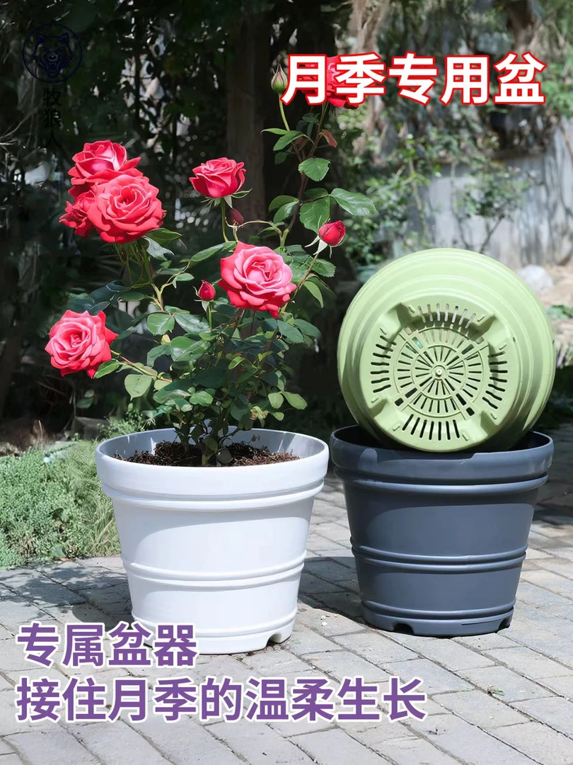 蓝莓大号盆铁线莲花盆天台阳台户外庭院种果树月季绣球特大号花盆