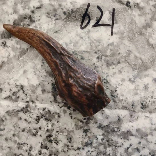 岁***人鹿角鹿角鹿角鹿角鹿角鹿角