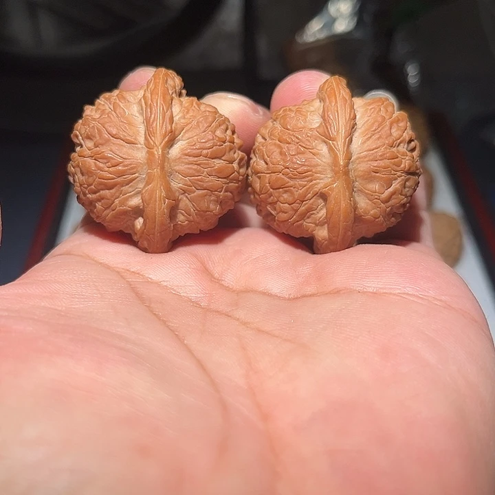 木41平谷血麒麟。