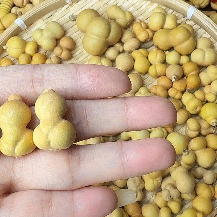 再***饭葫芦笙是个不错选择之一呢好棒