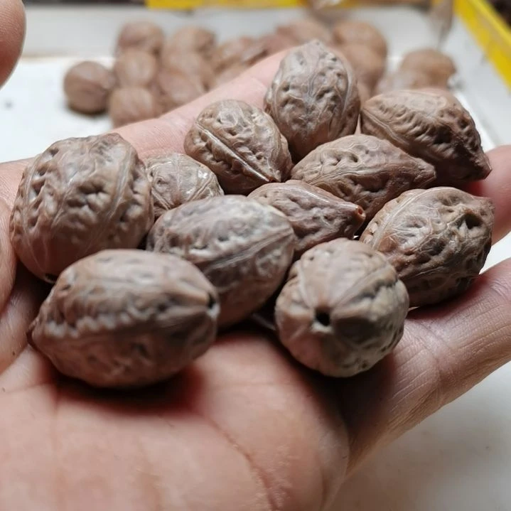 文玩核桃手串老*东北秋子异型核桃27