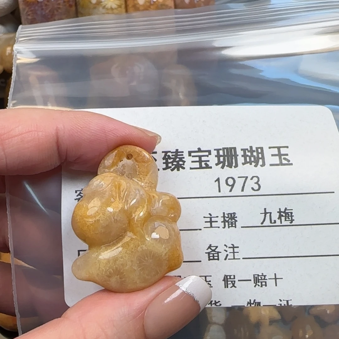 米***修硅化珊瑚（珊瑚玉）未镶嵌颈饰