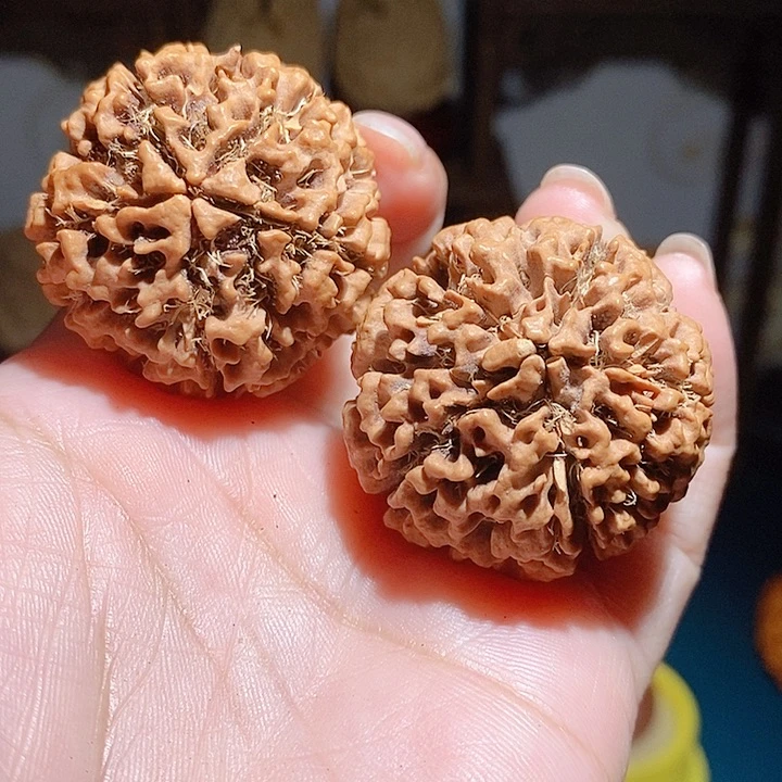 五星上将满肉陨石纹大金刚37