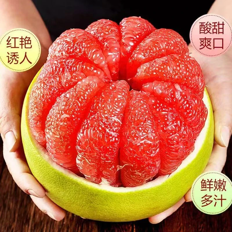 正宗琯溪蜜柚精品琯溪蜜柚新鲜水果皮薄肉厚多汁酸甜可口