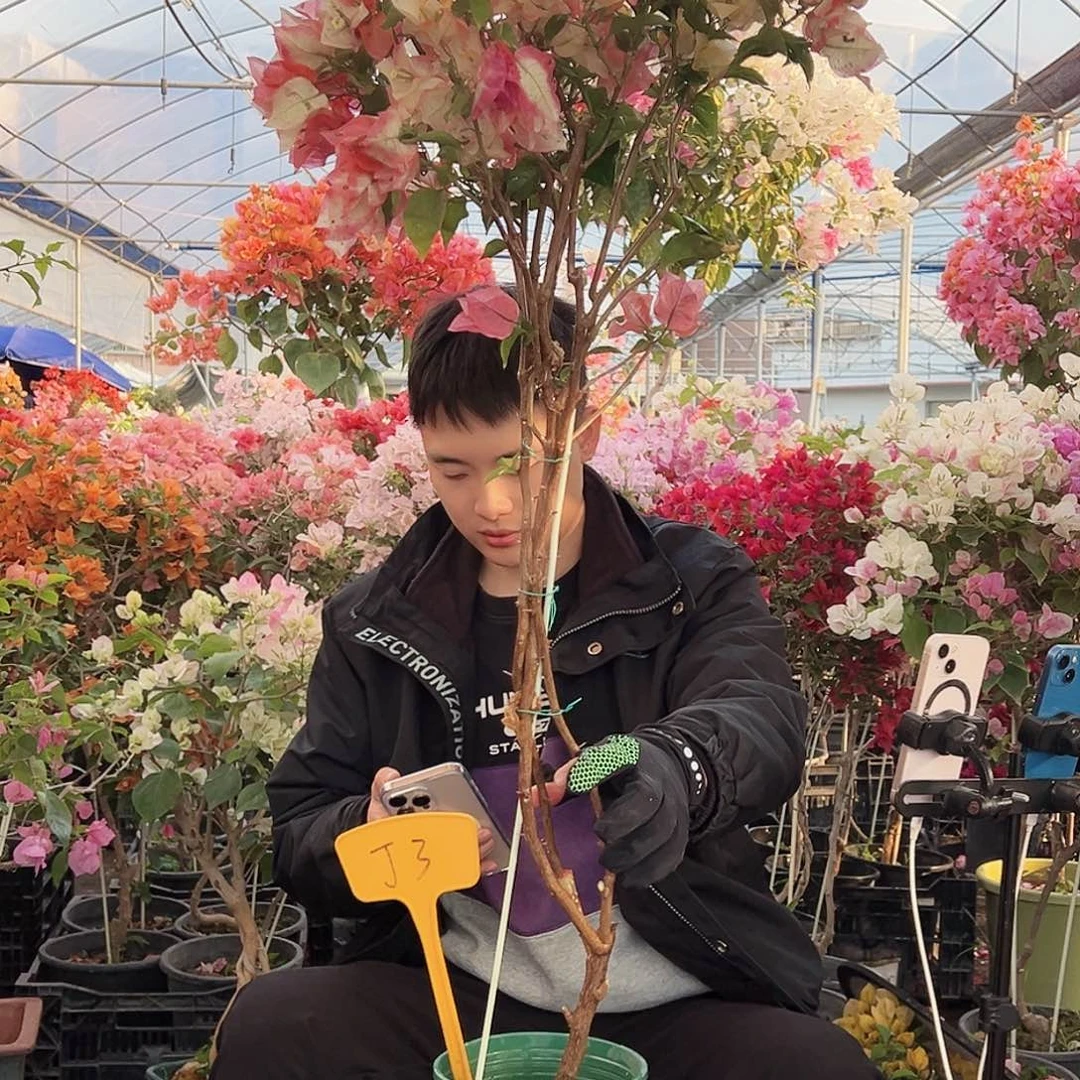 *****大部分花苞少量开放J3浅彩虹