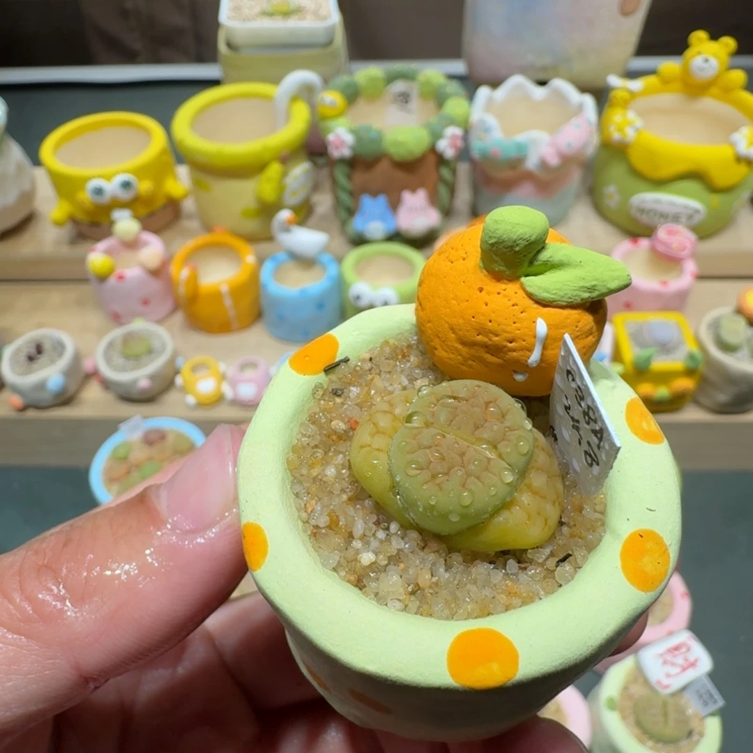 红陶蘑菇204黄绿富贵