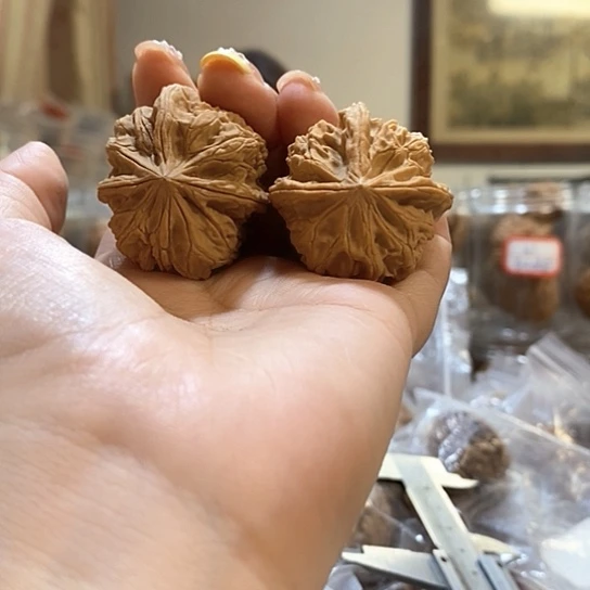 文玩核桃吊坠35三棱有水尖马虎对