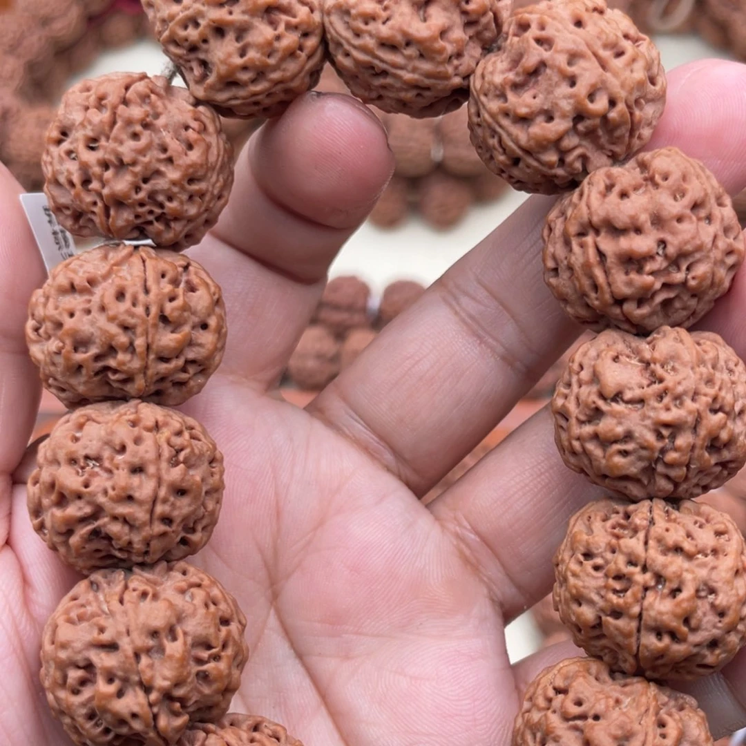 红油皮粗来大梅花22尺寸