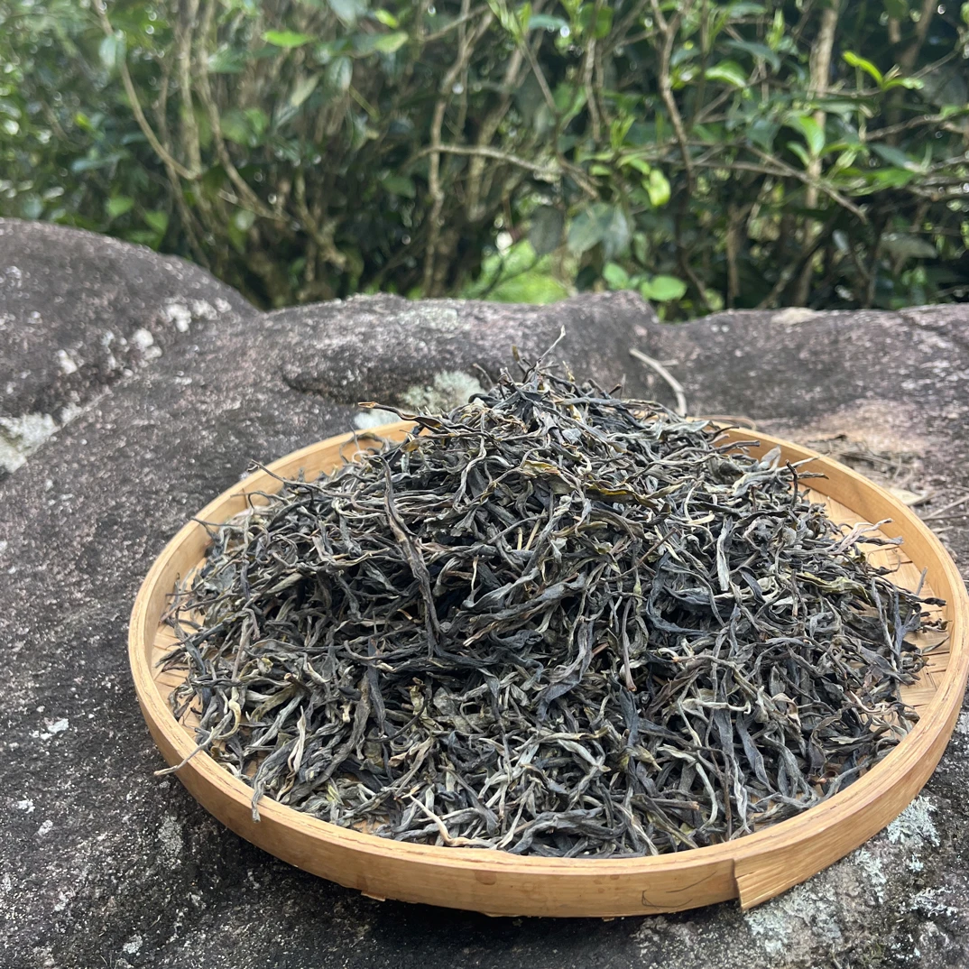 2025那蕉古树春藤条茶