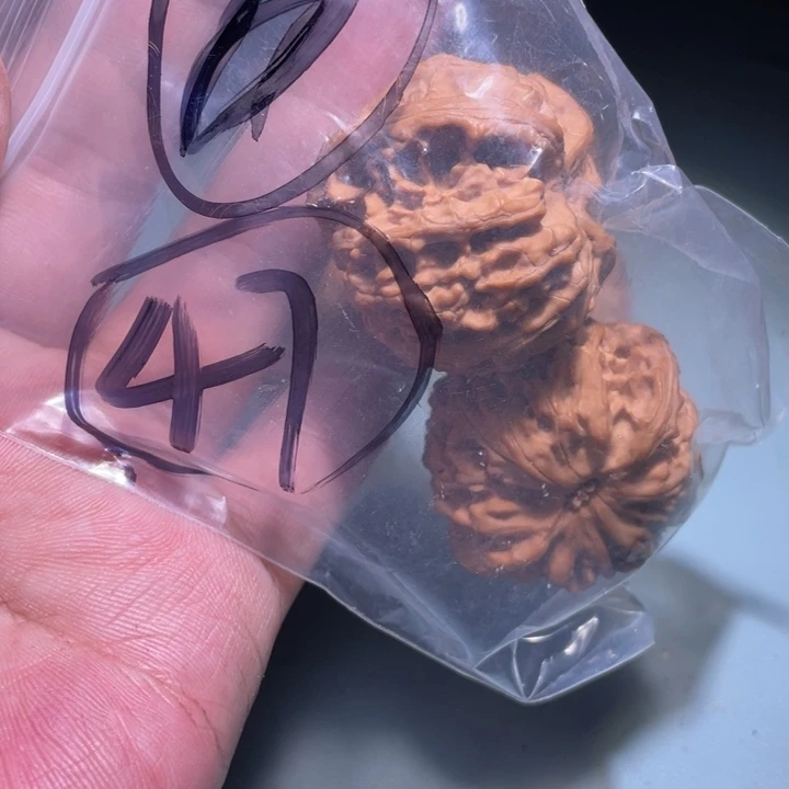 文玩核桃吊坠@*龙47呃呃呃