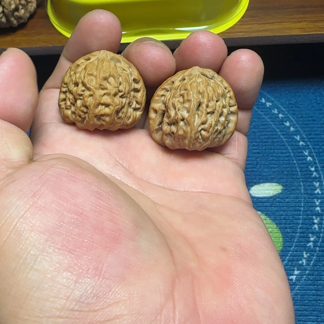 把件文玩核桃全品32白狮子手捻