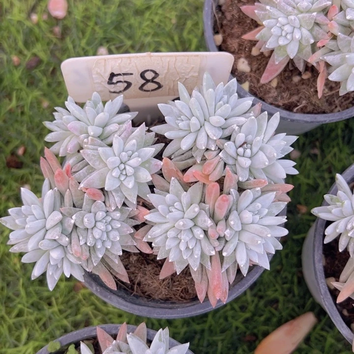 健健康康平平安安